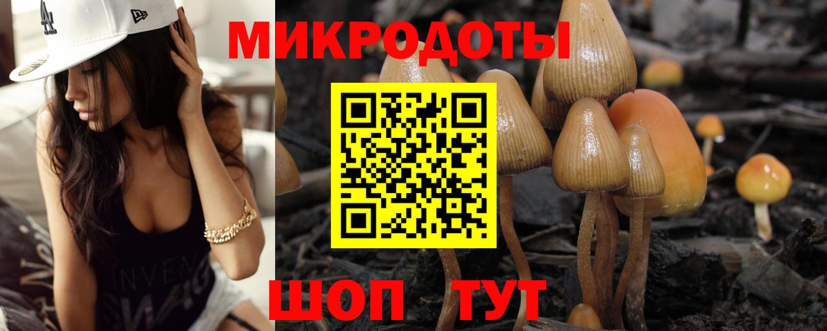 Псилоцибиновые грибы ЛСД Тара