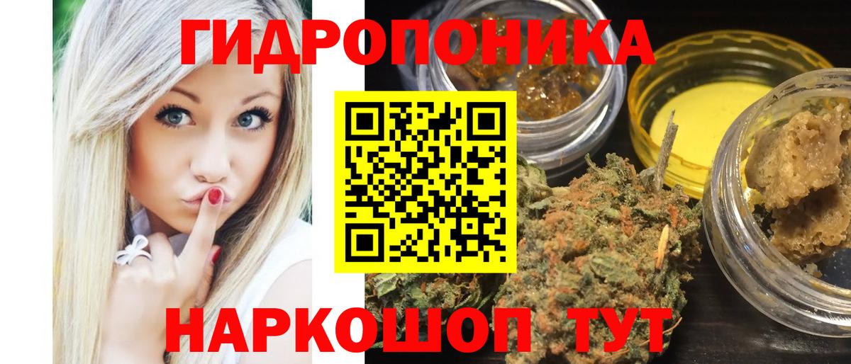 Шишки марихуана тримм  Марихуана план  Бошки марихуана тримм  Вход с VPN  Тара  Бошки Шишки тримм 